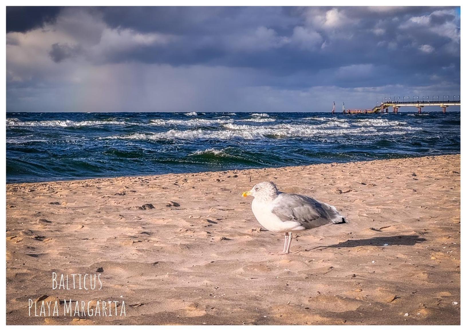 Appartamento Balticus Playa Margarita Miedzyzdroje Esterno foto